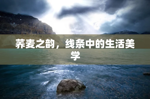 荞麦之韵，线条中的生活美学