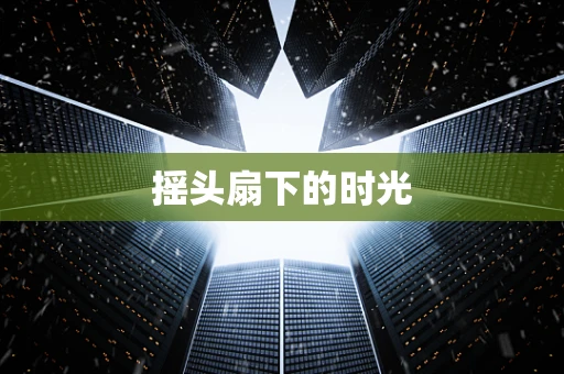 摇头扇下的时光