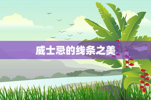 威士忌的线条之美