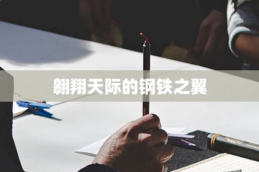 翱翔天际的钢铁之翼