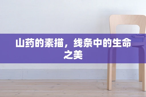 山药的素描，线条中的生命之美