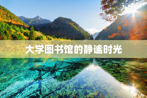 大学图书馆的静谧时光