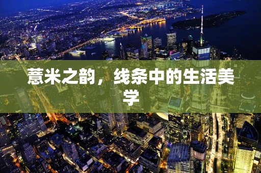 薏米之韵，线条中的生活美学