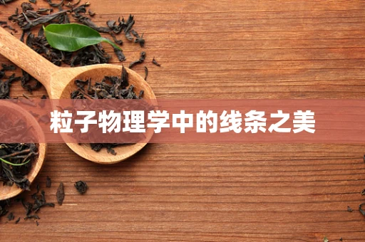 粒子物理学中的线条之美