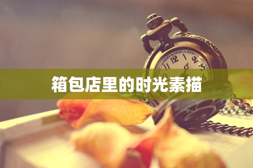 箱包店里的时光素描