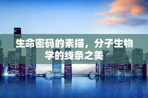生命密码的素描，分子生物学的线条之美