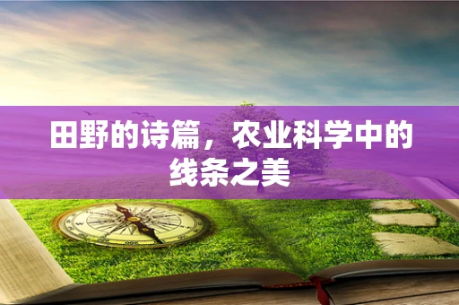 田野的诗篇，农业科学中的线条之美