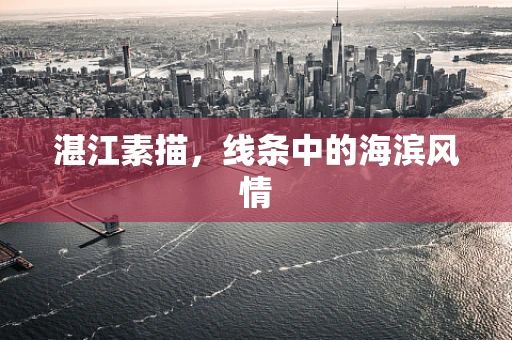 湛江素描，线条中的海滨风情