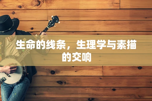 生命的线条，生理学与素描的交响