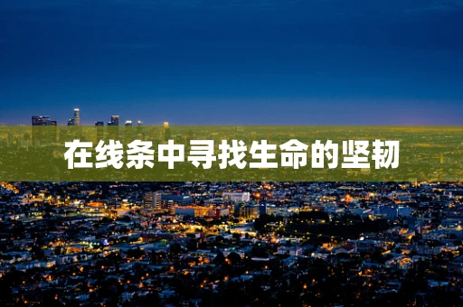 在线条中寻找生命的坚韧