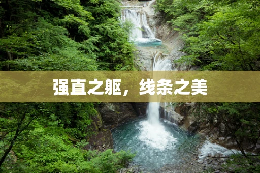 强直之躯，线条之美