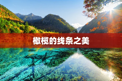 橄榄的线条之美