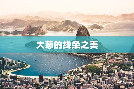 大葱的线条之美