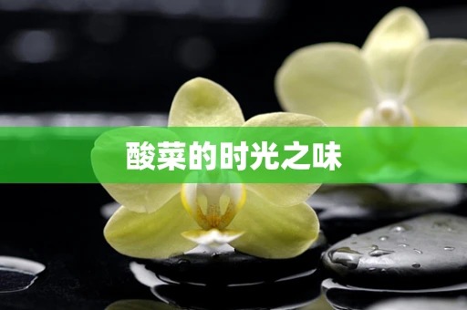酸菜的时光之味
