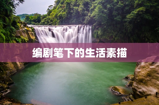 编剧笔下的生活素描