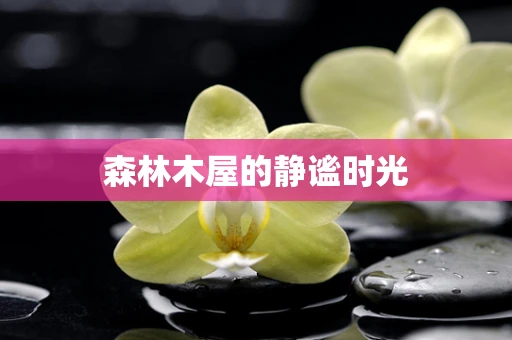 森林木屋的静谧时光