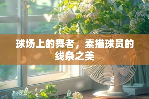 球场上的舞者，素描球员的线条之美