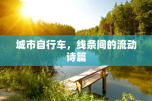 城市自行车，线条间的流动诗篇