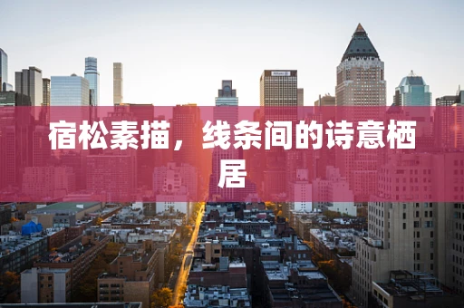 宿松素描，线条间的诗意栖居