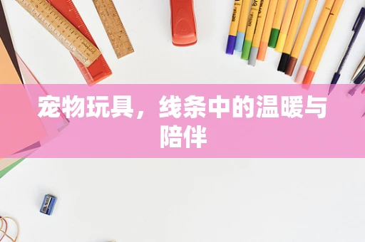 宠物玩具，线条中的温暖与陪伴