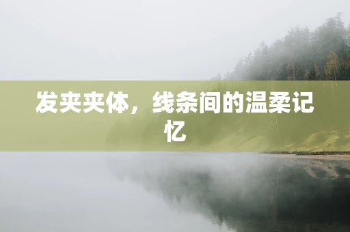 发夹夹体，线条间的温柔记忆