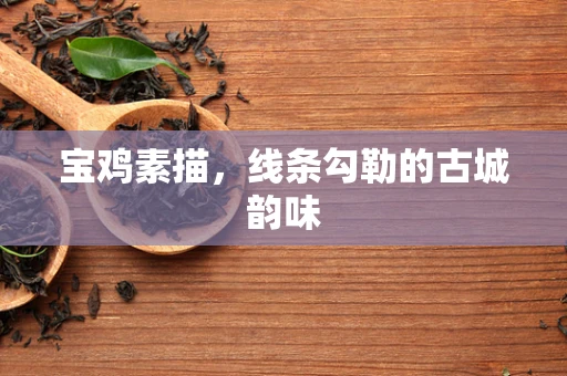 宝鸡素描，线条勾勒的古城韵味