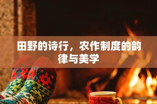 田野的诗行，农作制度的韵律与美学