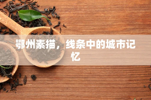 鄂州素描，线条中的城市记忆