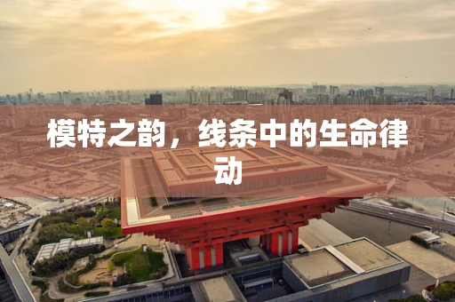模特之韵，线条中的生命律动
