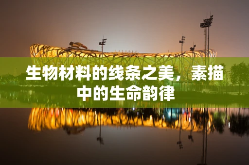 生物材料的线条之美，素描中的生命韵律