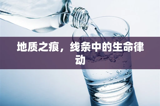 地质之痕，线条中的生命律动