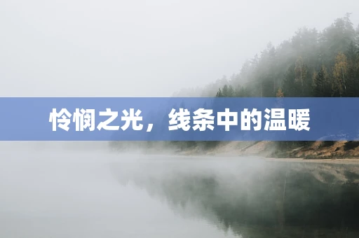 怜悯之光，线条中的温暖