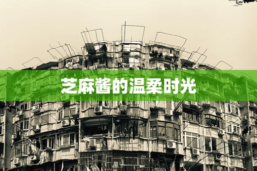 芝麻酱的温柔时光