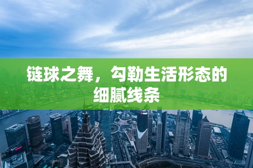 链球之舞，勾勒生活形态的细腻线条
