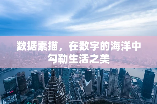 数据素描，在数字的海洋中勾勒生活之美
