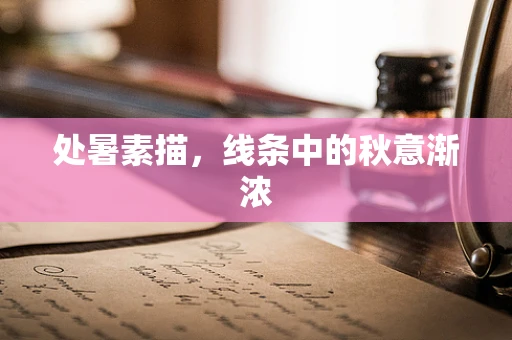 处暑素描，线条中的秋意渐浓