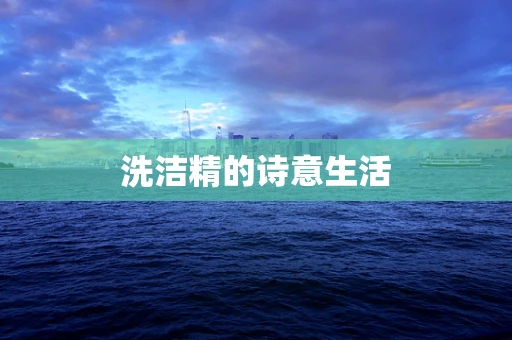 洗洁精的诗意生活