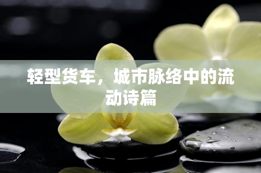 轻型货车，城市脉络中的流动诗篇
