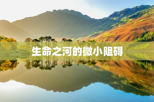 生命之河的微小阻碍