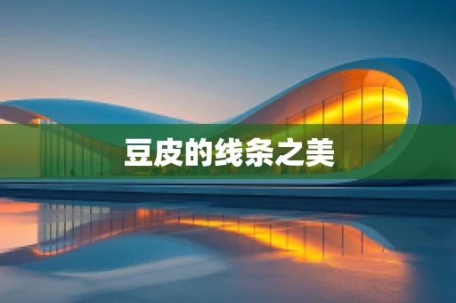 豆皮的线条之美