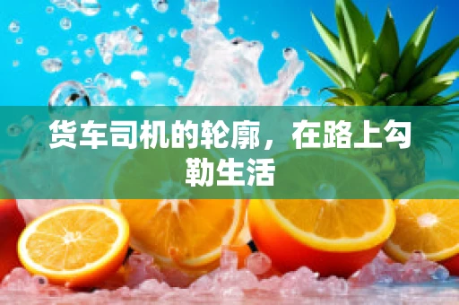 货车司机的轮廓，在路上勾勒生活