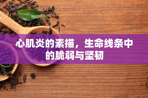 心肌炎的素描，生命线条中的脆弱与坚韧
