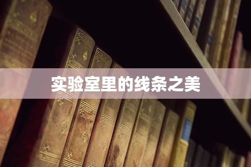 实验室里的线条之美