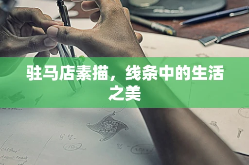 驻马店素描，线条中的生活之美