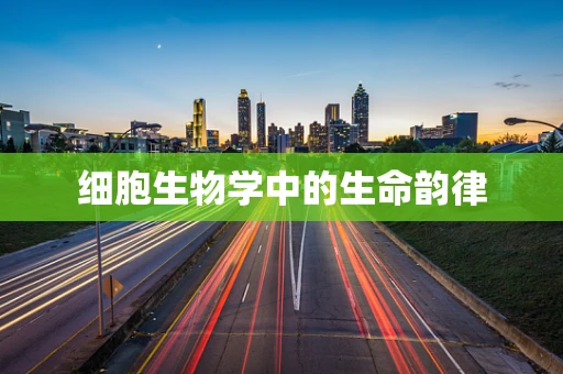 细胞生物学中的生命韵律
