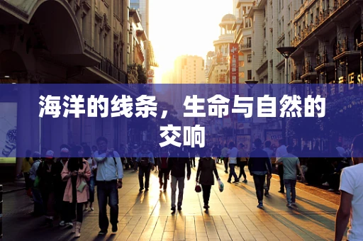 海洋的线条，生命与自然的交响