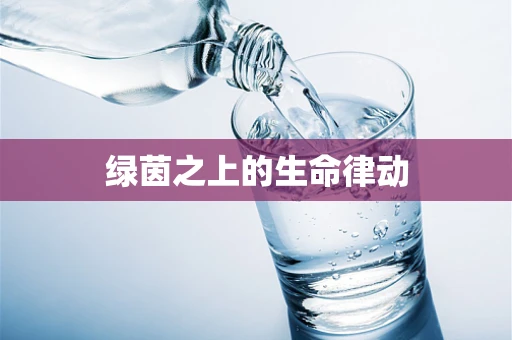 绿茵之上的生命律动