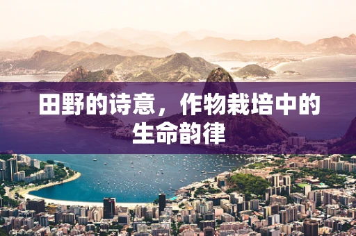 田野的诗意，作物栽培中的生命韵律