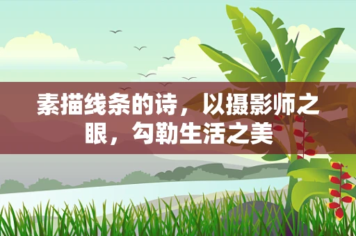 素描线条的诗，以摄影师之眼，勾勒生活之美