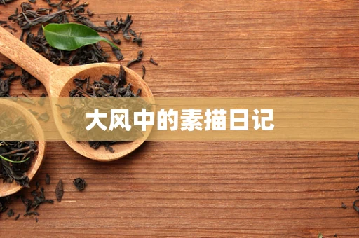 大风中的素描日记